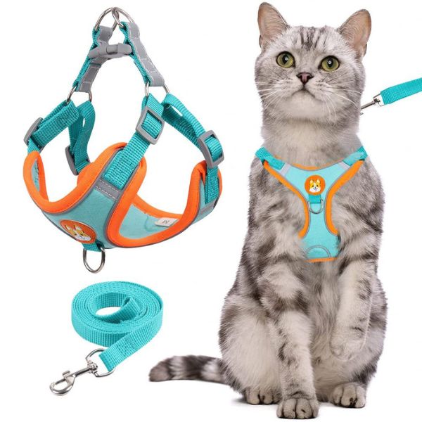 Povodac za pse i mačke | CATAROUND
